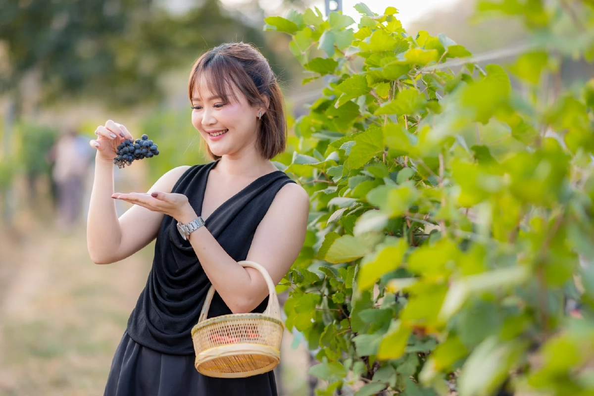 Monsoon Valley Harvest Festival 2026 ประสบการณ์สุดเอ็กซ์คลูซีฟ