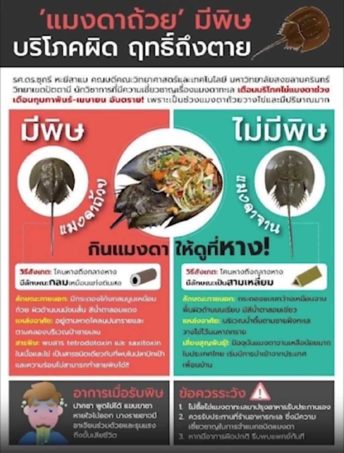 นาทีเฉียดตุย สาวเปิบยำไข่แมงดา 2 คำ ช็อกหมดสติ-ชีพจรหยุดเต้น เข้า ICU