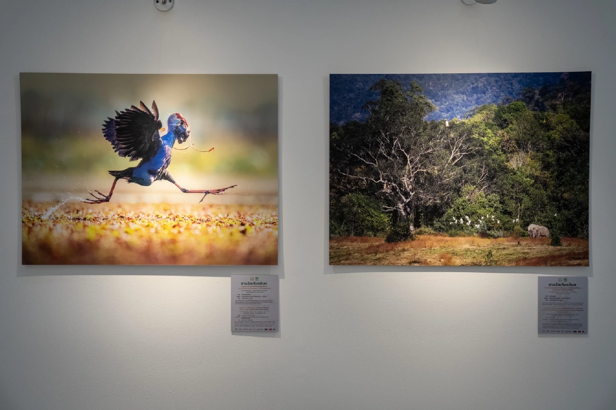 กระทรวงทรัพย์ฯ จับมือ เครือซีพี ชวนชม “สัตว์มีค่า ป่ามีคุณ”