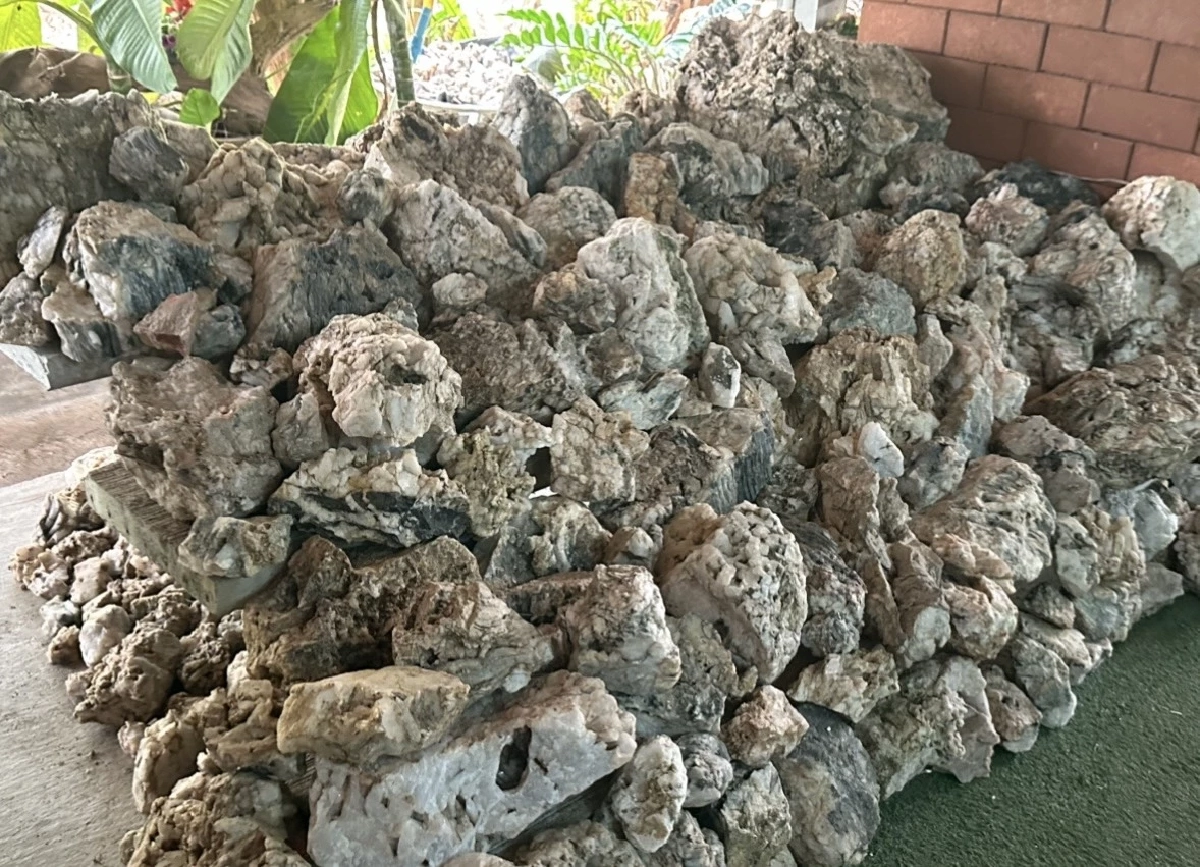 รู้จัก! เข็มกลัดโป่งข่ามคู่ ประดับฉลองพระองค์ “พระบรมราชินี” เสด็จฯ เยือนอิตาลี