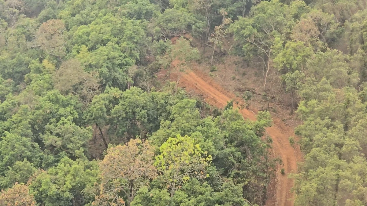 สั่งปิดถนนปริศนากลางป่า แฉขบวนการหลอกชาวบ้านสร้างถนน อ้างมีงบหลวง
