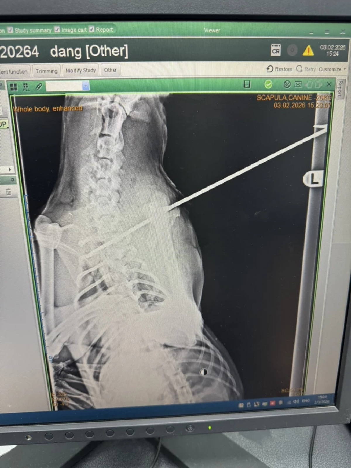 จิตใจทำด้วยอะไร? ยิงลูกดอกใส่หมา ยัดกระสอบทิ้งป่าไผ่