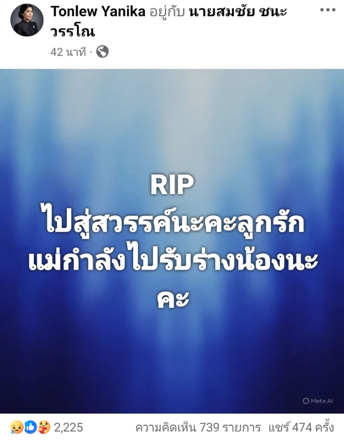 “เจ้ามอลลี่” กลับดาวหมาแล้ว  หลังถูกคนร้ายราดน้ำมันจุดไฟเผา