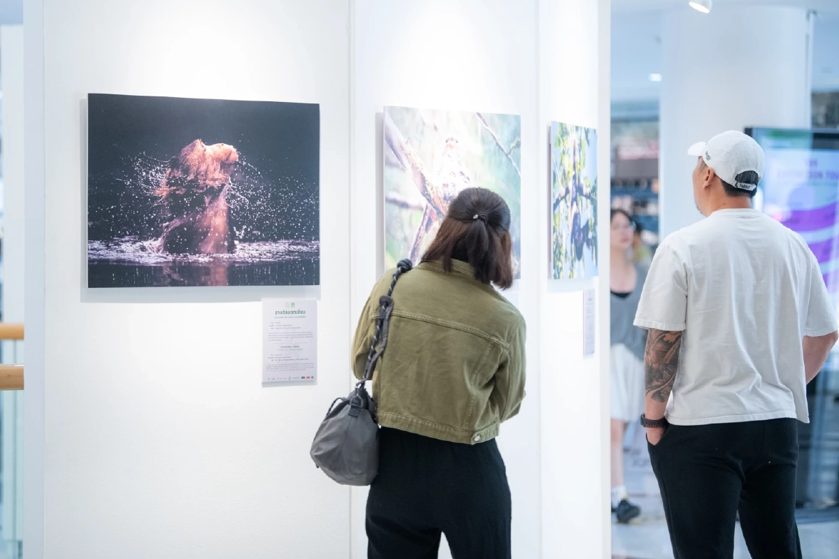 กระทรวงทรัพย์ฯ จับมือ เครือซีพี ชวนชม “สัตว์มีค่า ป่ามีคุณ”