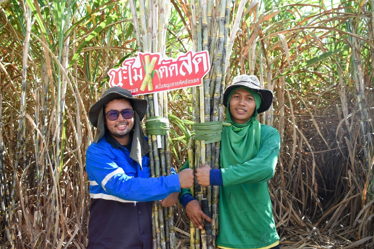 กลุ่มมิตรผล ขอขอบคุณในความร่วมมือจากทุกภาคส่วน ทั้งหน่วยงานภาครัฐ ภาคเอกชน ผู้นำชุมชน  และชาวไร่อ้อยทุกคน ที่ร่วมเป็นส่วนหนึ่งในการ “ตัดอ้อยสด” เพื่อโลก เพื่อเรา