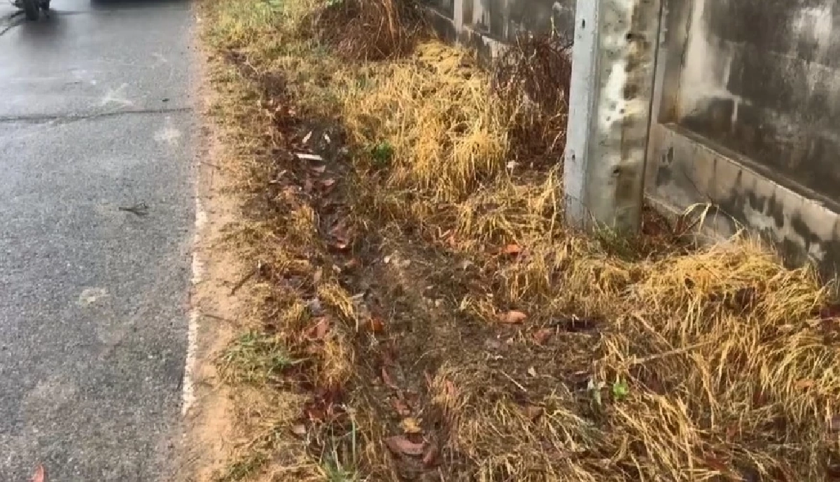 สลด "ครูสาว" ขี่จักรยานยนต์ ชนกำแพง ดับก่อนถึงโรงเรียน 100 เมตร