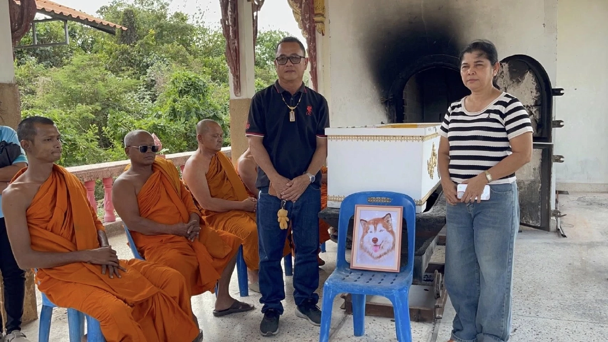 เผาแล้ว "น้องมอลลี่" สุนัขไซบีเรียน เหยื่อทารุณกรรมจุดไฟเผา