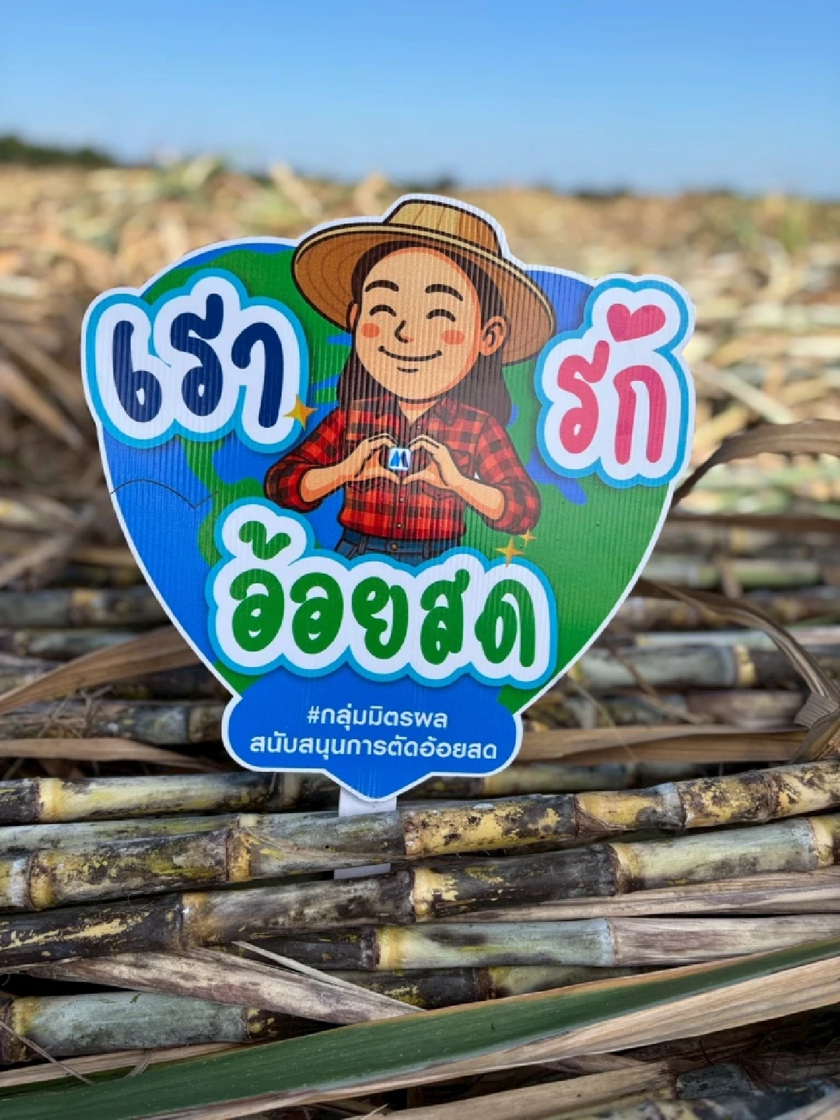 อานิสงส์ “นะโม ตัดสด”! ผลลัพธ์แห่งความร่วมมือ  กลุ่มมิตรผล ชาวไร่อ้อย และทุกภาคส่วน ร่วมใจตัดอ้อยสดตลอดฤดูหีบ  เสริมรายได้ สร้างพลังงานสะอาด รักษ์สิ่งแวดล้อม