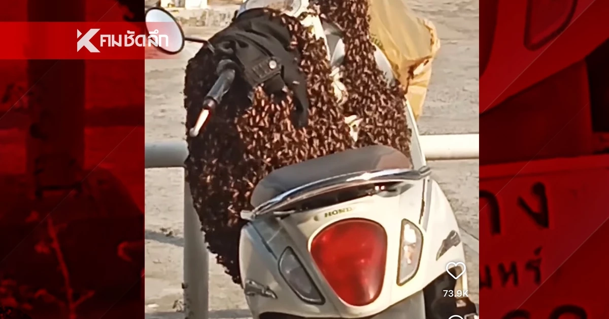 เลขเด็ด'ฝูงผึ้งหลวง' 1/4/69 คอหวยตาไวควานหาสนั่น เลขมอเตอร์ไซค์