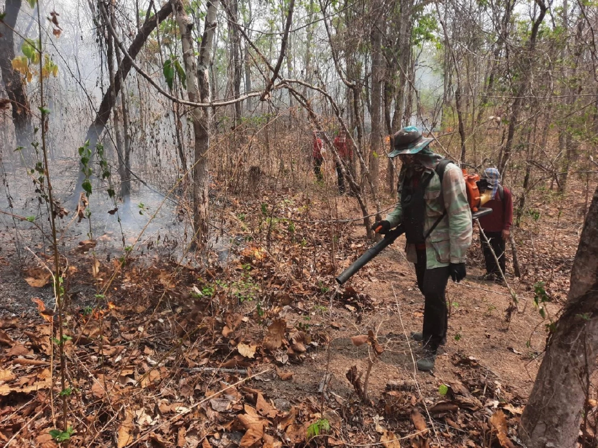 ลำปางอ่วม! ไฟป่า 'แม่ยางอ่าง' ลามหนักเผาวอดหลายวัน จนท. เฝ้าระวังเข้ม
