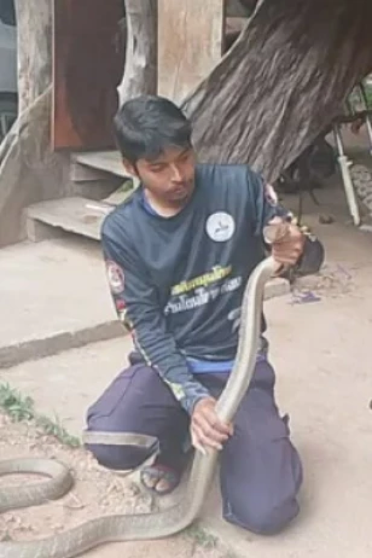 เลขทะเบียน 'งูจงอางยักษ์' ขดซุกห้องเครื่อง ลุ้นเลขเด็ด 16/03/69