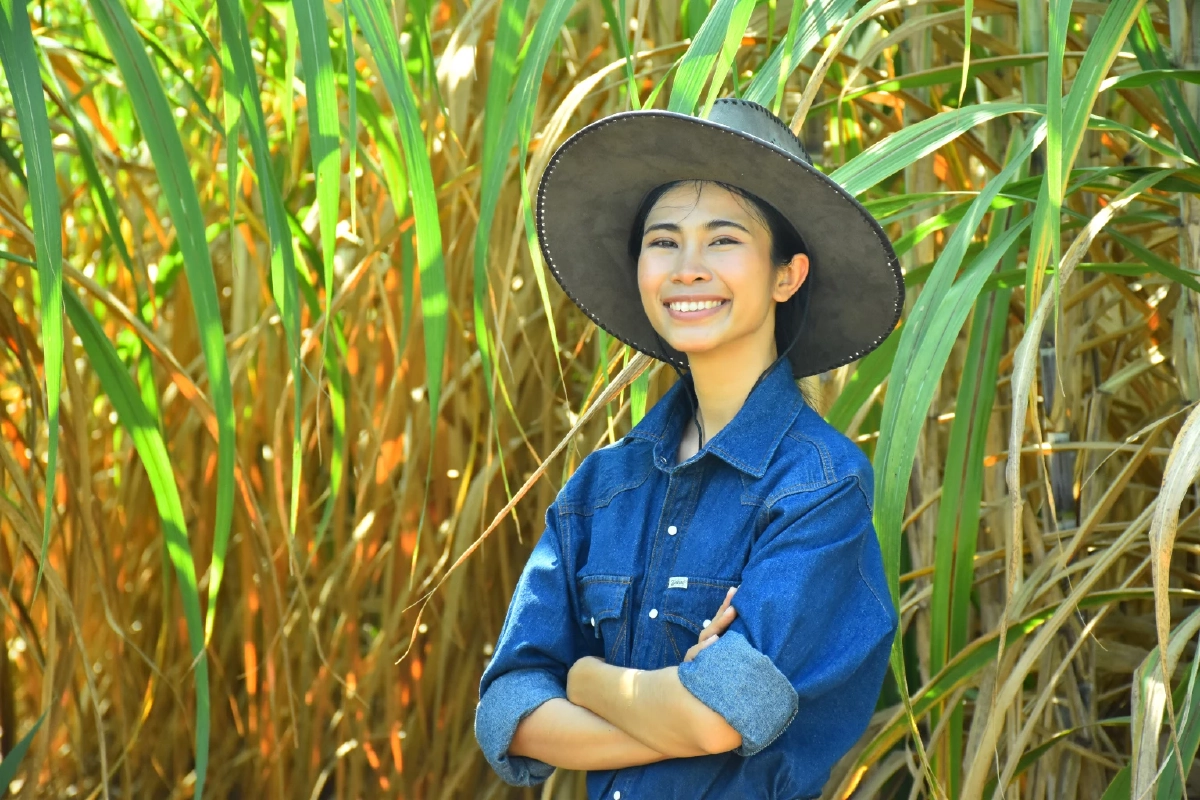 อานิสงส์ “นะโม ตัดสด”! ผลลัพธ์แห่งความร่วมมือ  กลุ่มมิตรผล ชาวไร่อ้อย และทุกภาคส่วน ร่วมใจตัดอ้อยสดตลอดฤดูหีบ  เสริมรายได้ สร้างพลังงานสะอาด รักษ์สิ่งแวดล้อม