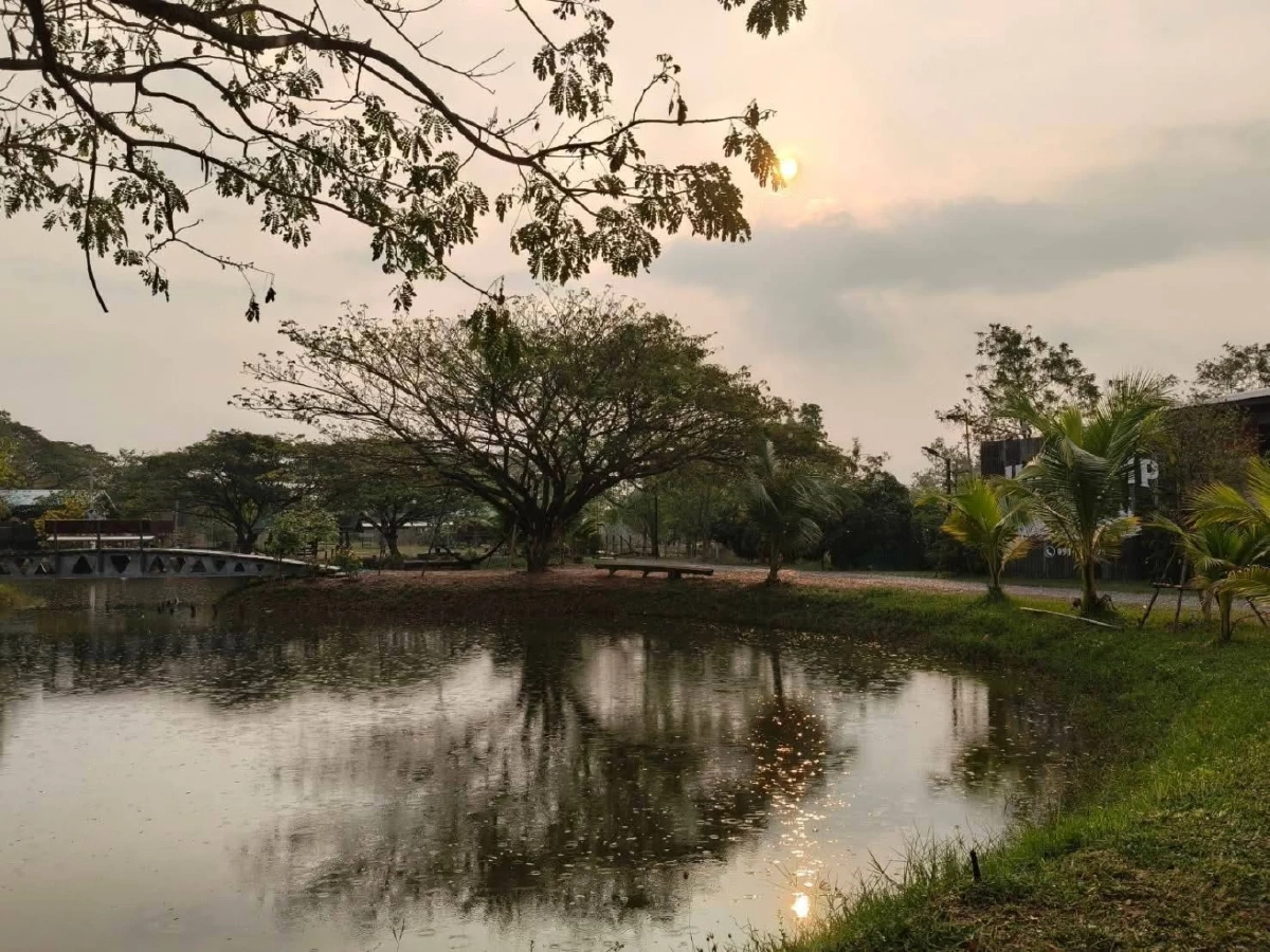 อีกก้าวของความสำเร็จ "ป๊ายปาย โอริโอ้" เดินหน้าสานฝัน เปิดธุรกิจใหม่