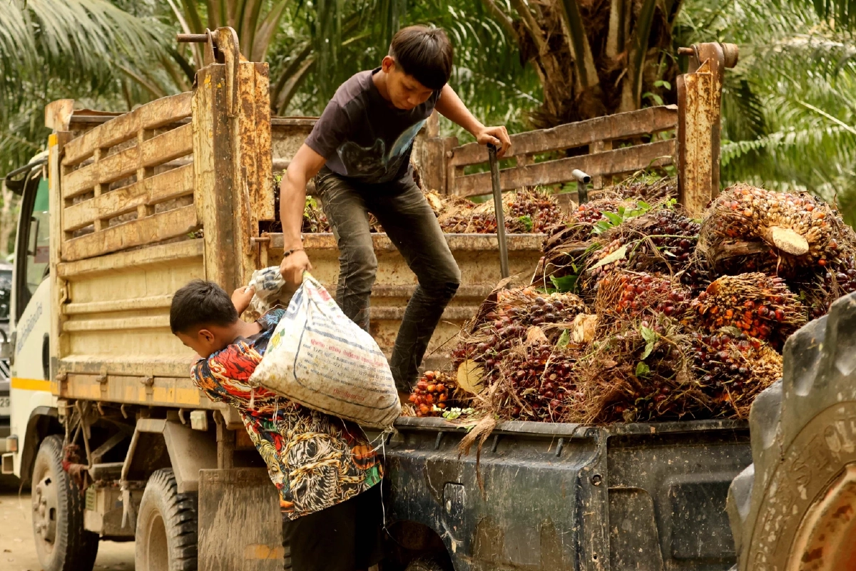 ด่วน! สมาคมค้าปลีก เผย ‘น้ำมันปาล์ม’ และ ‘น้ำดื่ม’ ขึ้นราคา