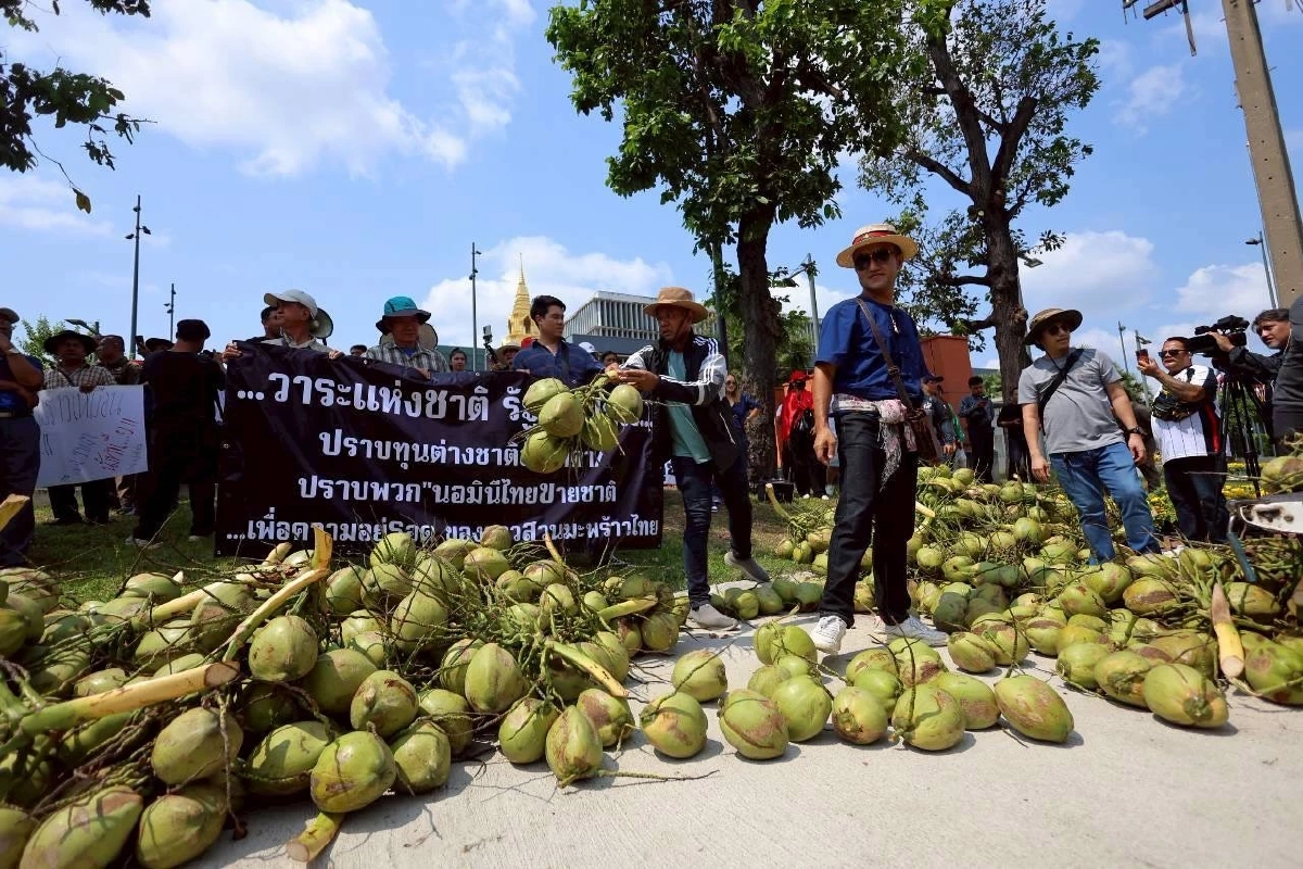 เกษตรกรมะพร้าวน้ำหอม บุกรัฐสภา จี้! รัฐบาลแก้ปัญหาราคาตกต่ำ