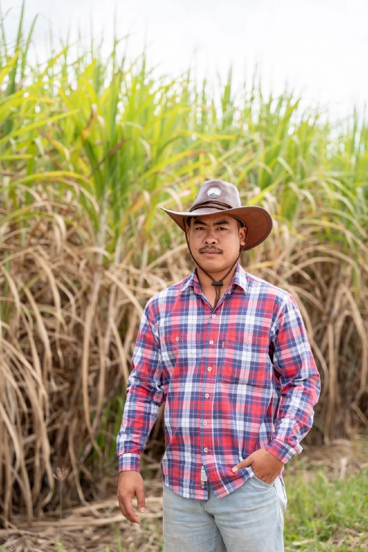 อานิสงส์ “นะโม ตัดสด”! ผลลัพธ์แห่งความร่วมมือ  กลุ่มมิตรผล ชาวไร่อ้อย และทุกภาคส่วน ร่วมใจตัดอ้อยสดตลอดฤดูหีบ  เสริมรายได้ สร้างพลังงานสะอาด รักษ์สิ่งแวดล้อม