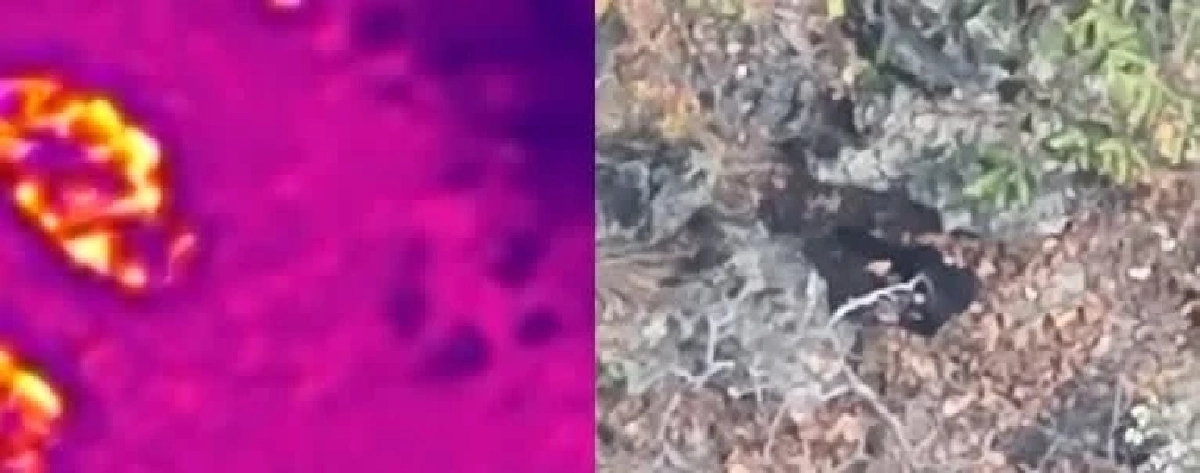 "สุชาติ" สั่งระดมกำลังไล่ล่ามือเผาป่าดอยสะเก็ด หลังโดรนจับภาพชายชุดดำ