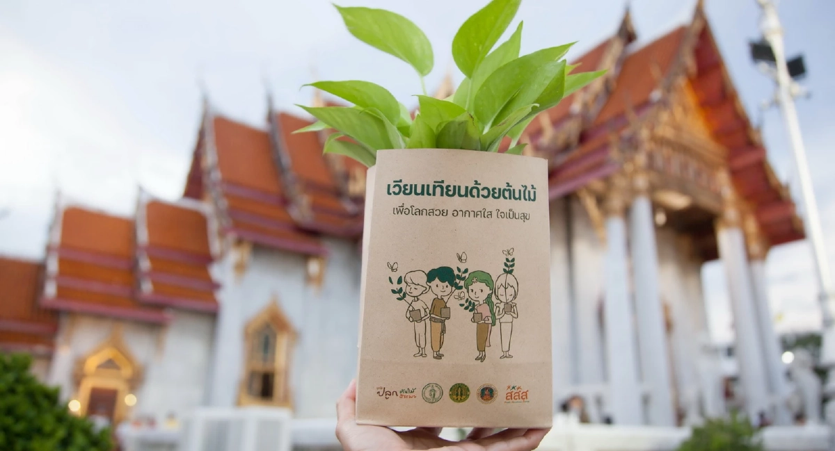 มาฆบูชา2569 แจกพิกัดวัดทั่วไทย  ‘เวียนเทียนต้นไม้’  รับกล้าไม้ฟรีกลับบ้าน