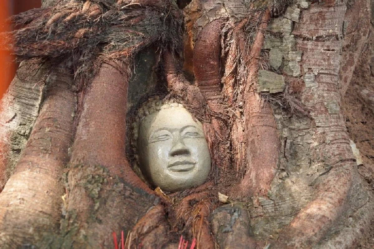 "ฮุนเซน" ควันออกหูโดนแกงตัดต่อหน้าใส่รากไม้เหมือน "โยนี"