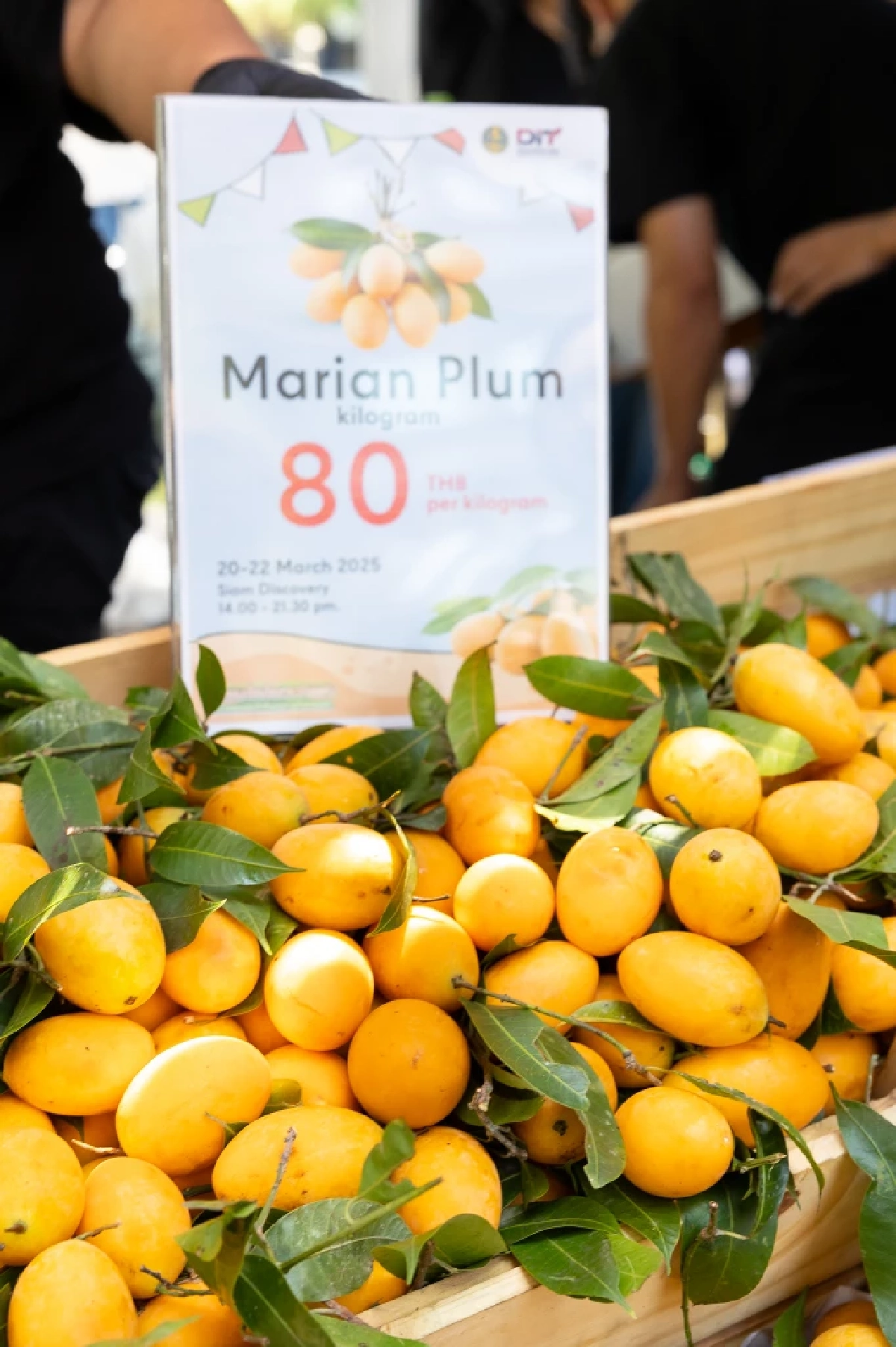 ดันผลไม้ไทยสู่ผู้บริโภคเมือง สร้างรายได้เกษตรกรอย่างยั่งยืน