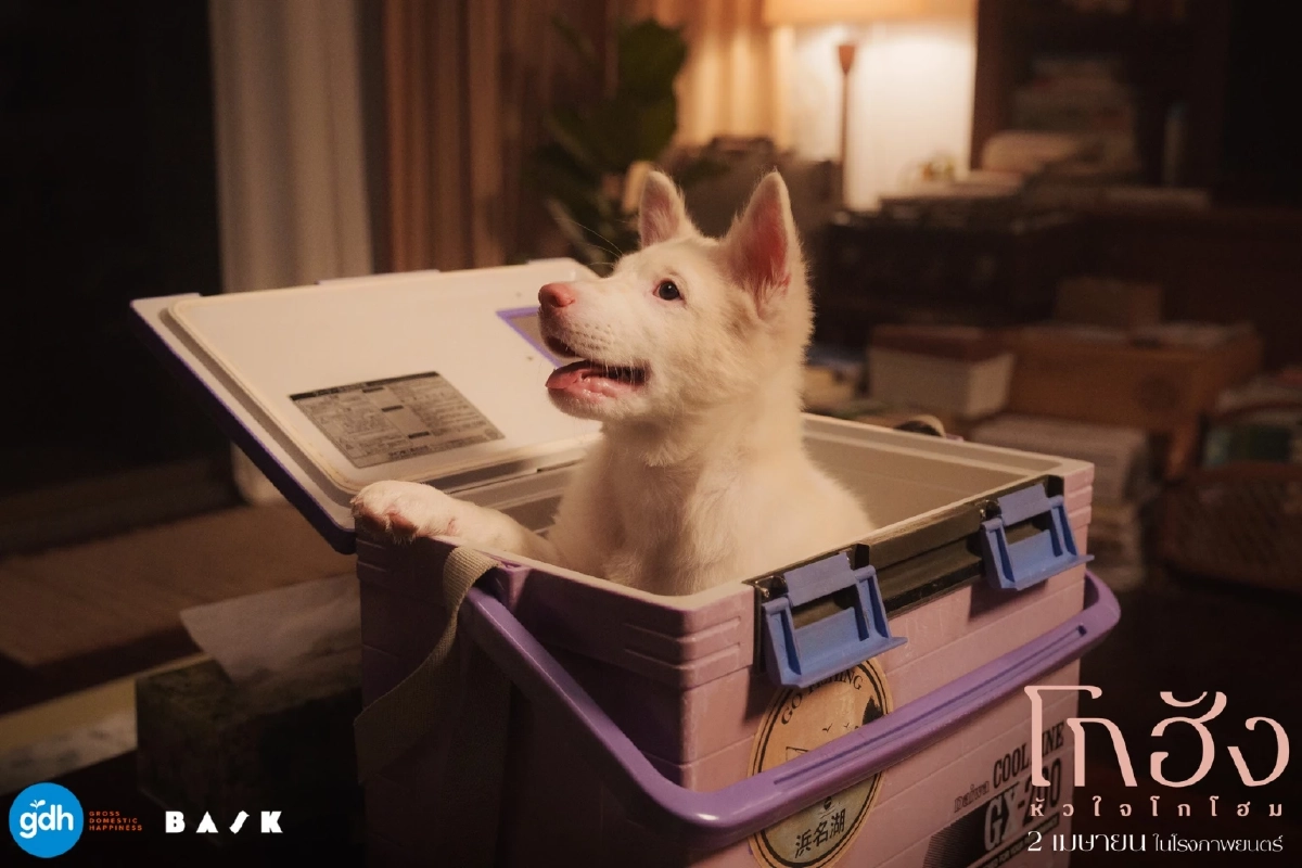 เปิดวาร์ป น้องหมาสีขาว จมูกแดง ผู้รับบท "โกฮัง" ทั้ง 3 ช่วงวัย