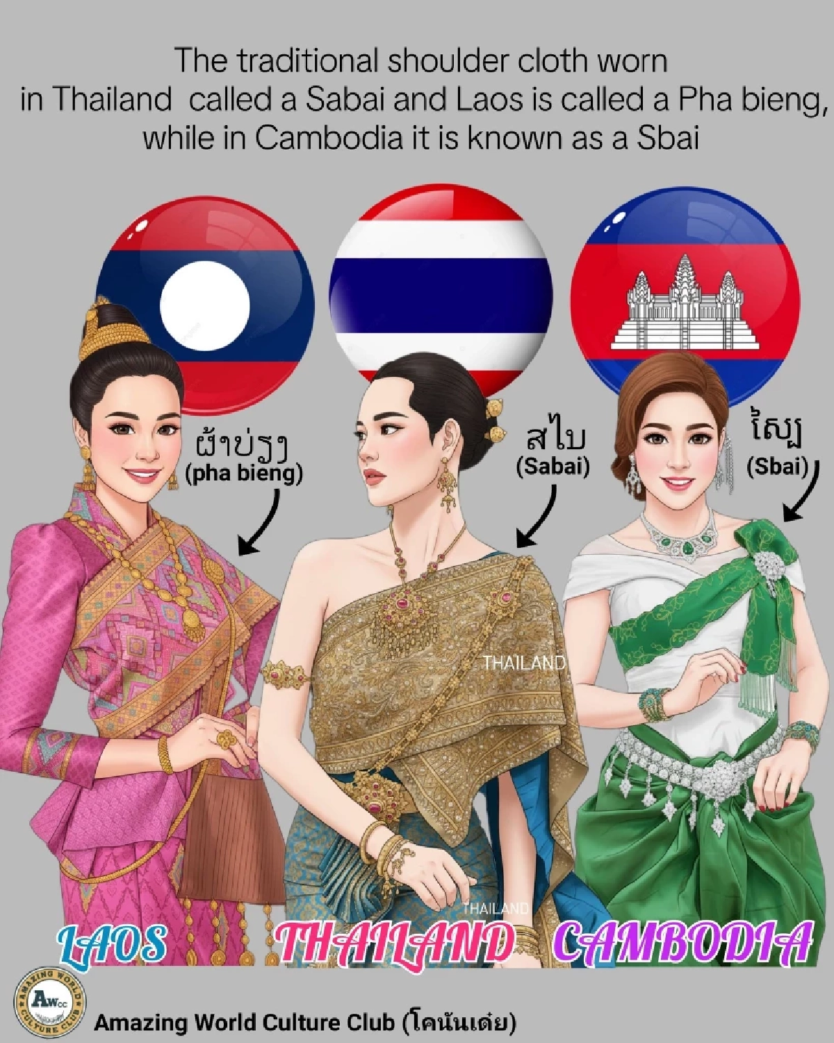 CR: Amazing World Culture Club - AWCC V.3