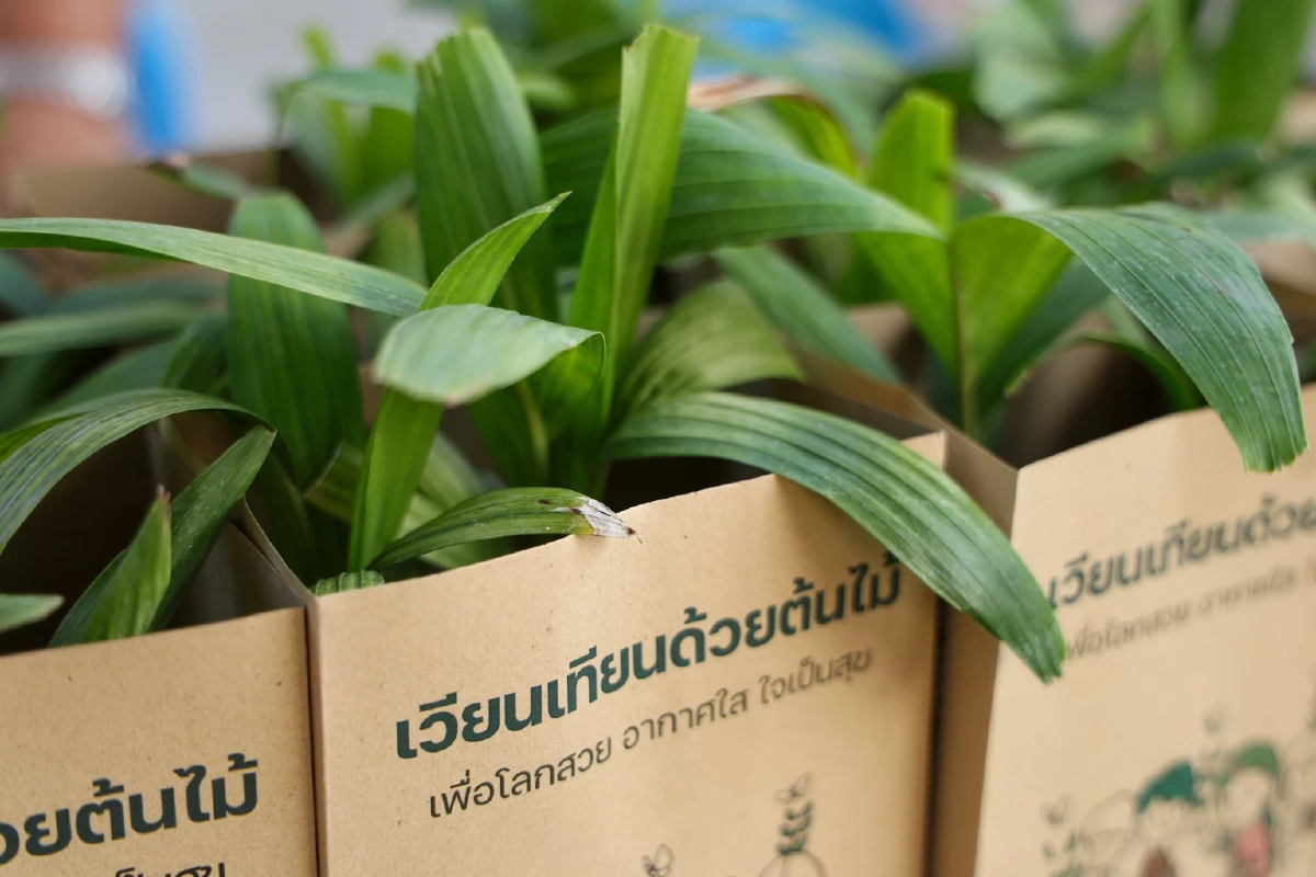 เปิดคู่มือบุญ ‘มาฆบูชา’ กิจกรรมและการปฏิบัติตน ทำบุญวันพระใหญ่ ได้บุญเยอะกว่าจริงไหม?