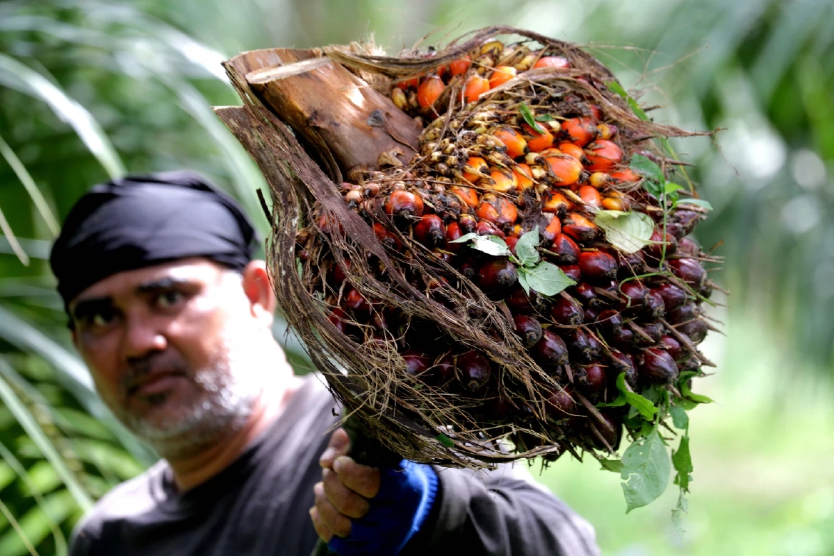 ด่วน! สมาคมค้าปลีก เผย ‘น้ำมันปาล์ม’ และ ‘น้ำดื่ม’ ขึ้นราคา