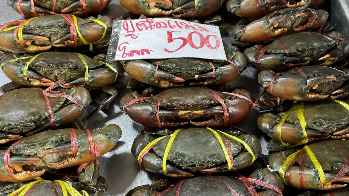 เเม่ค้าปากน้ำ ร้องรัฐบาลแก้วิกฤตน้ำมันหลังอาหารทะเลปรับราคา