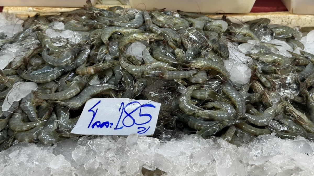 เเม่ค้าปากน้ำ ร้องรัฐบาลแก้วิกฤตน้ำมันหลังอาหารทะเลปรับราคา