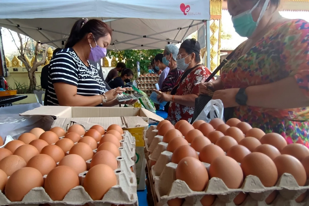 เครือข่ายสหกรณ์ผู้เลี้ยงไก่ไข่ ปรับขึ้นราคาไข่แผงละ 6 บาท