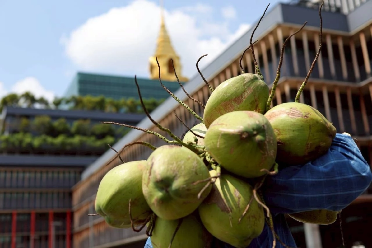 เกษตรกรมะพร้าวน้ำหอม บุกรัฐสภา จี้! รัฐบาลแก้ปัญหาราคาตกต่ำ
