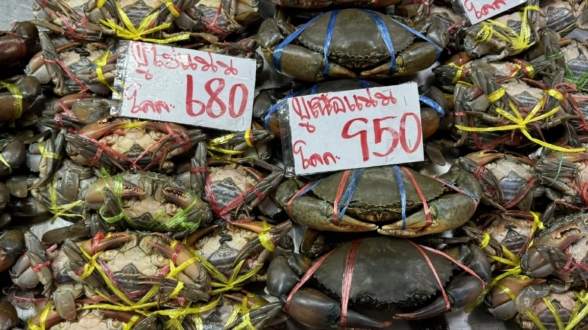 เเม่ค้าปากน้ำ ร้องรัฐบาลแก้วิกฤตน้ำมันหลังอาหารทะเลปรับราคา