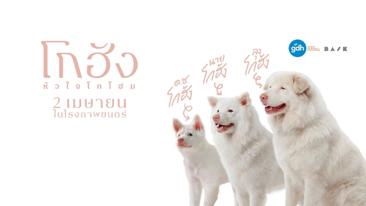 เปิดวาร์ป น้องหมาสีขาว จมูกแดง ผู้รับบท "โกฮัง" ทั้ง 3 ช่วงวัย