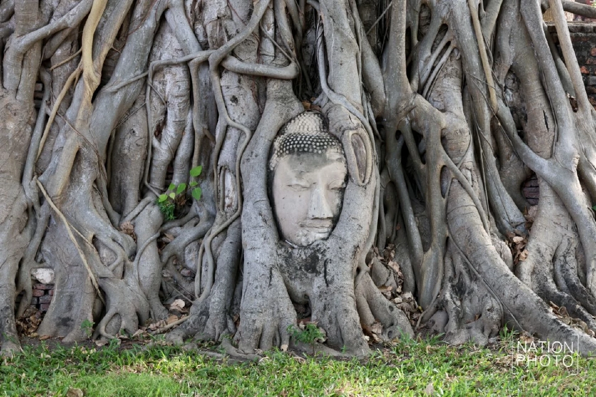 ลุย!'ป้าอยุธยา'ตอก'อินฟลูเขมร' เดินชูป้ายย้ำ 'เศียรพระในรากไม้ อยุธยา'