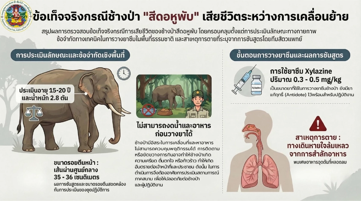 สรุปผลตรวจสอบข้อเท็จจริง "สีดอหูพับ" ล่าสุด กรมอุทยานฯ แถลงแล้ว
