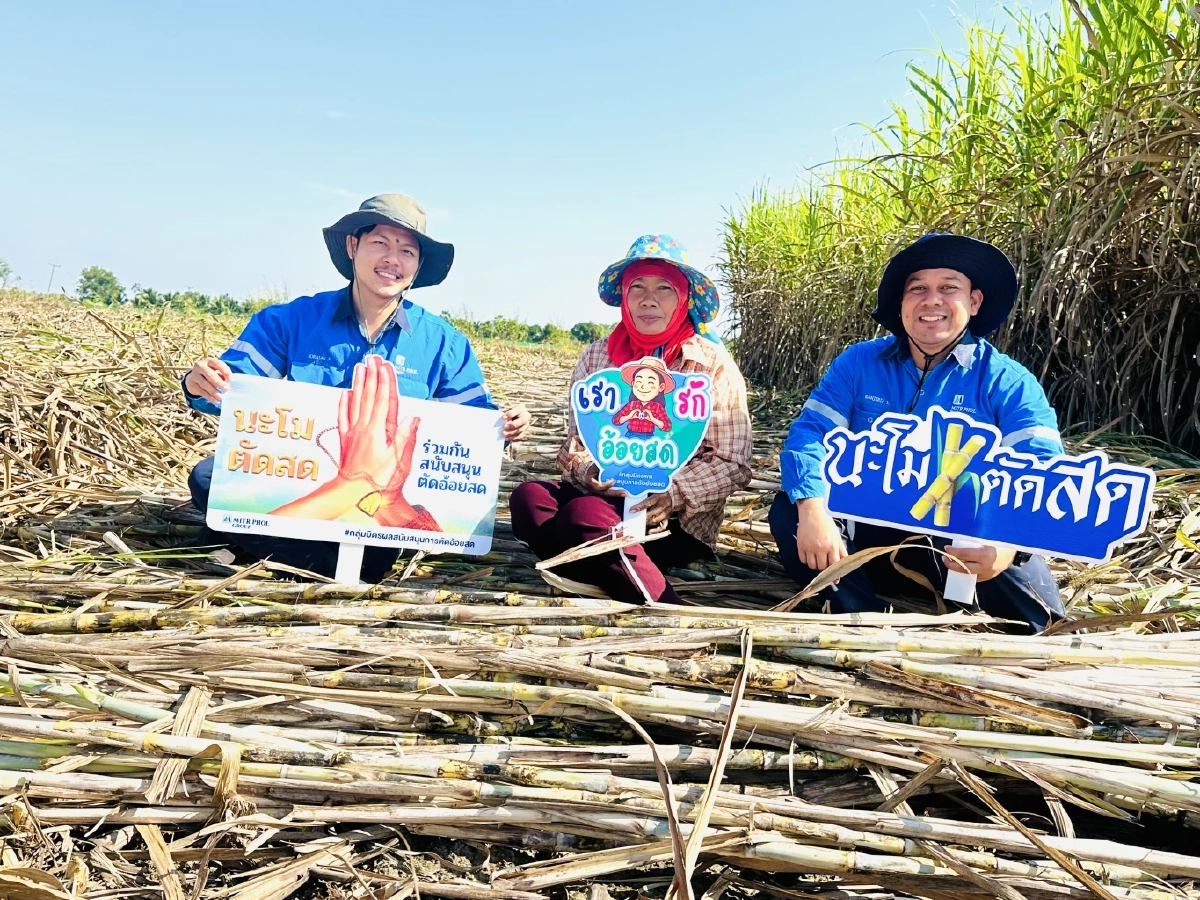 อานิสงส์ “นะโม ตัดสด”! ผลลัพธ์แห่งความร่วมมือ  กลุ่มมิตรผล ชาวไร่อ้อย และทุกภาคส่วน ร่วมใจตัดอ้อยสดตลอดฤดูหีบ  เสริมรายได้ สร้างพลังงานสะอาด รักษ์สิ่งแวดล้อม