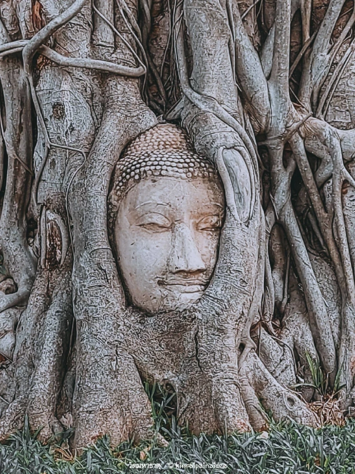 เศรียรพระอยุทธยา