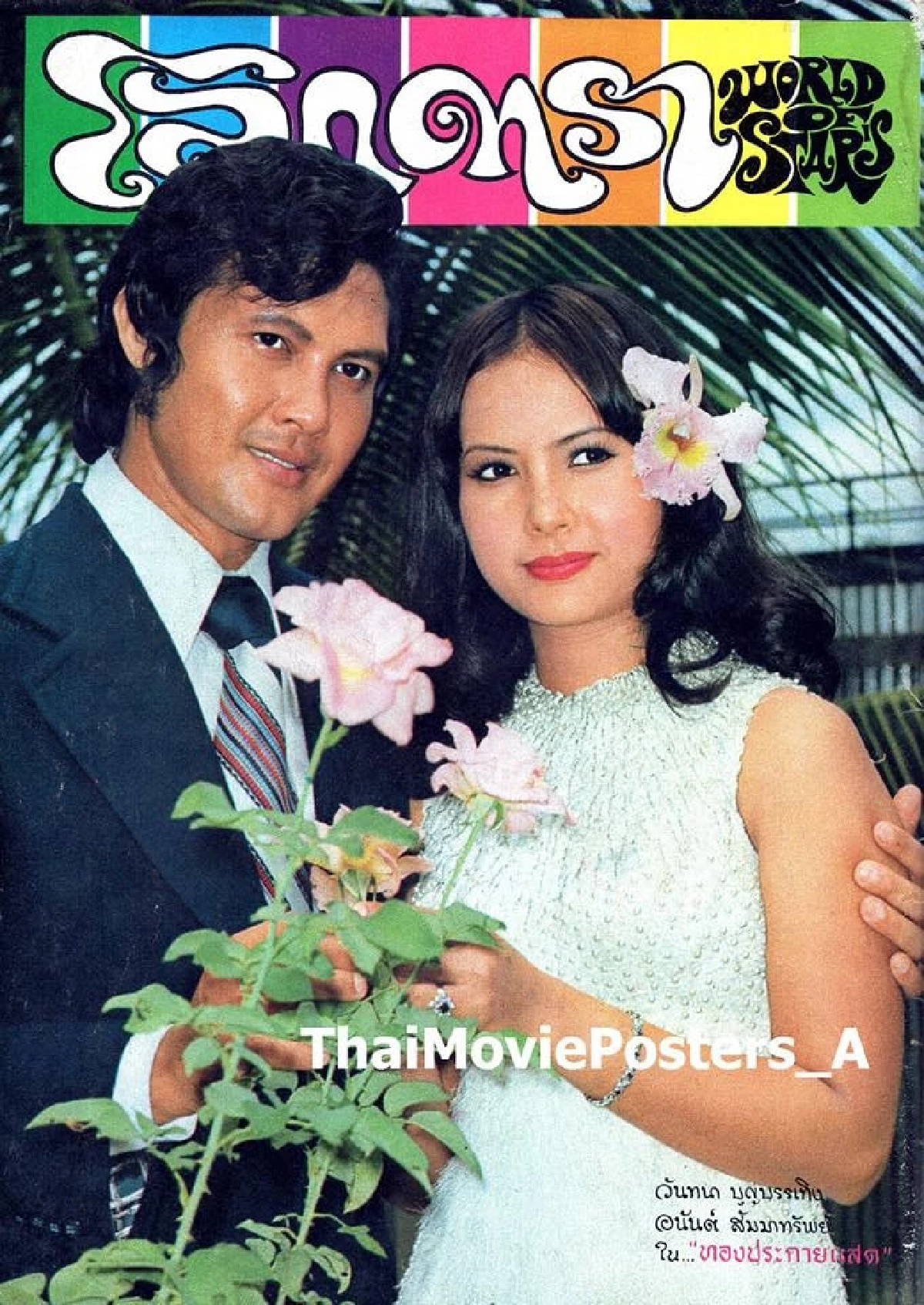 อาลัย "หน่อย อนันต์ สัมมาทรัพย์" เสียชีวิต ที่อเมริกา ประวัติ พระเอกดาวร้าย