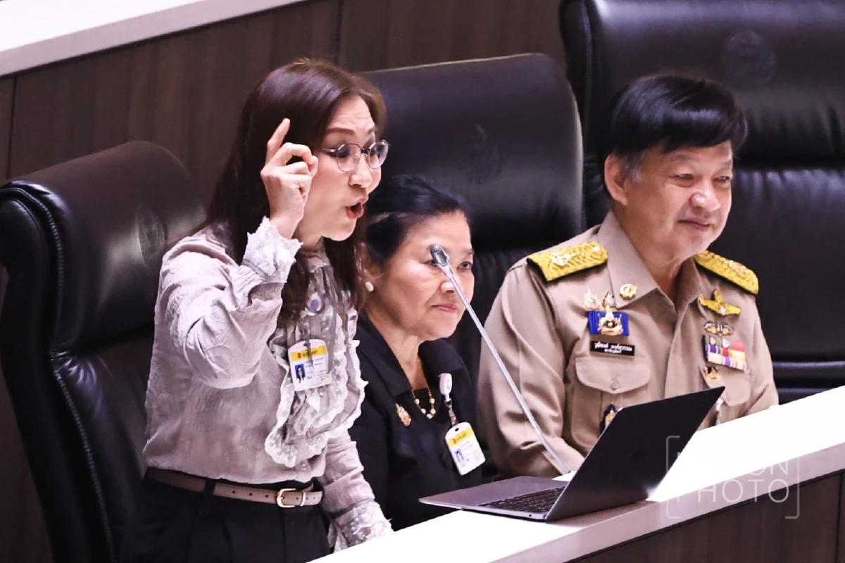 สว.นันทนา เดือด! รัฐบาลจัดนโยบาย แบบไม่เห็นหัวประชาชน