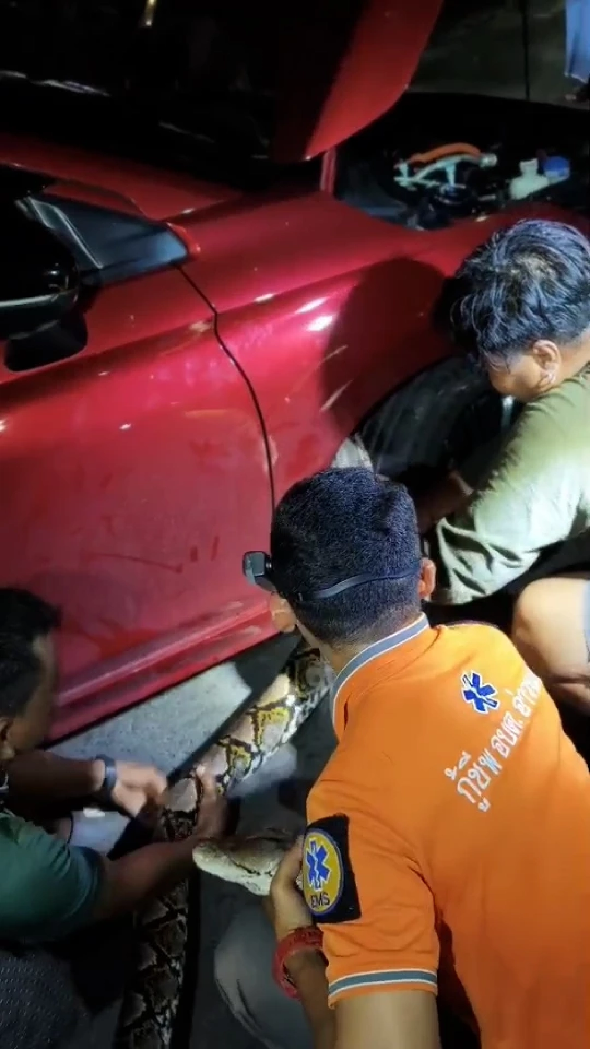 เลขเด็ด เลขทะเบียนรถ "งูเหลือมยักษ์" เข้าใต้ท้องรถ สาวตกใจ! จนเข่าอ่อน