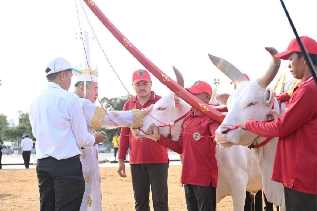 ปลัดเกษตรฯ ซ้อมย่อยเพื่อเตรียมความพร้อมพระราชพิธีพืชมงคลจรดพระนังคัลแรกนาขวัญ ประจำปี 2569 ณ มณฑลพิธีท้องสนามหลวง