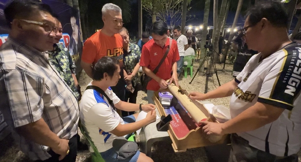 ทำความรู้จัก! กีฬาพื้นบ้านแข่งชน "ด้วงกว่าง" ราคาพุ่งหลักหมื่น