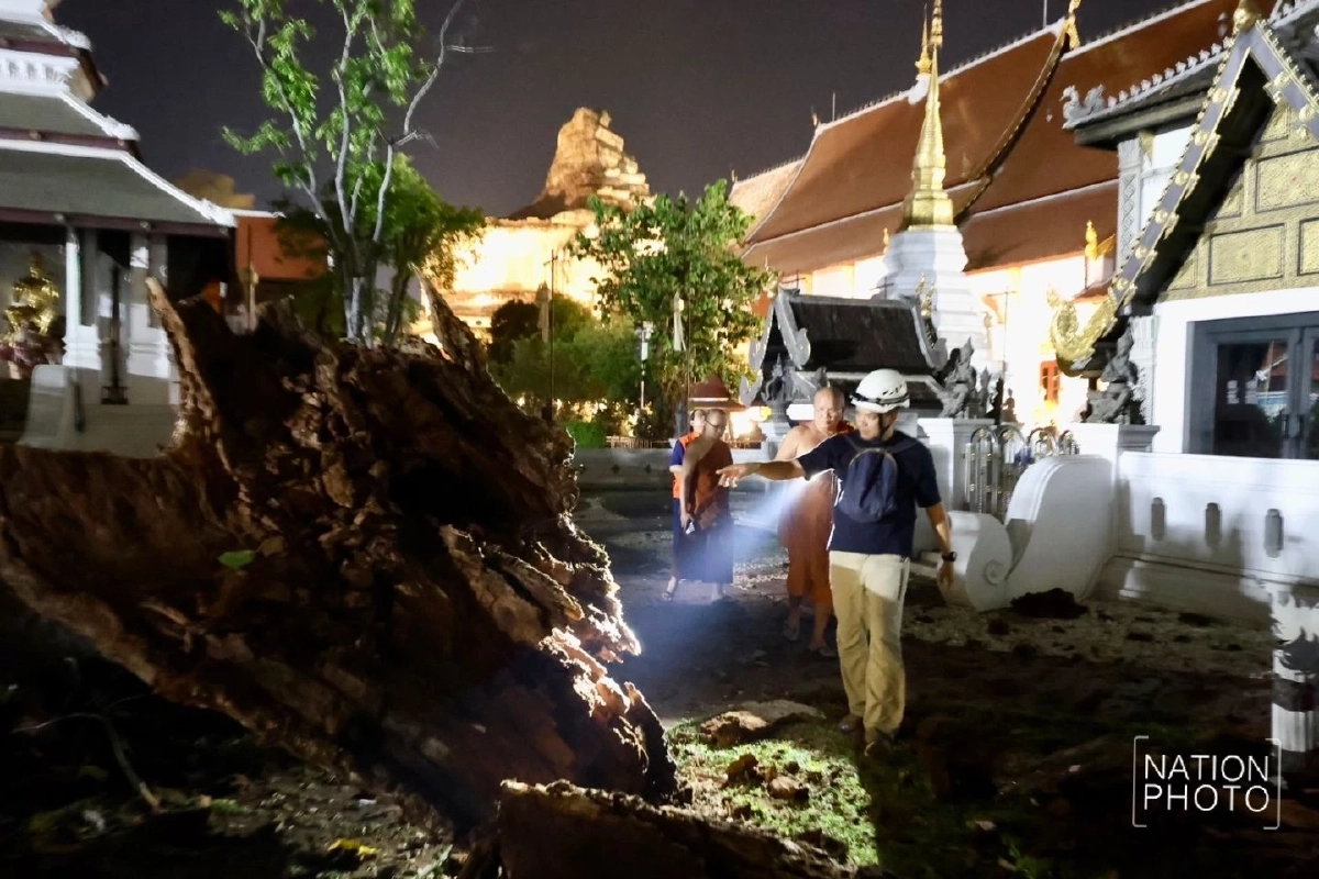 เจ้าอาวาสวัดเจดีย์หลวงฯ ยันกิ่งยางนาหักไม่ใช่ลางร้าย