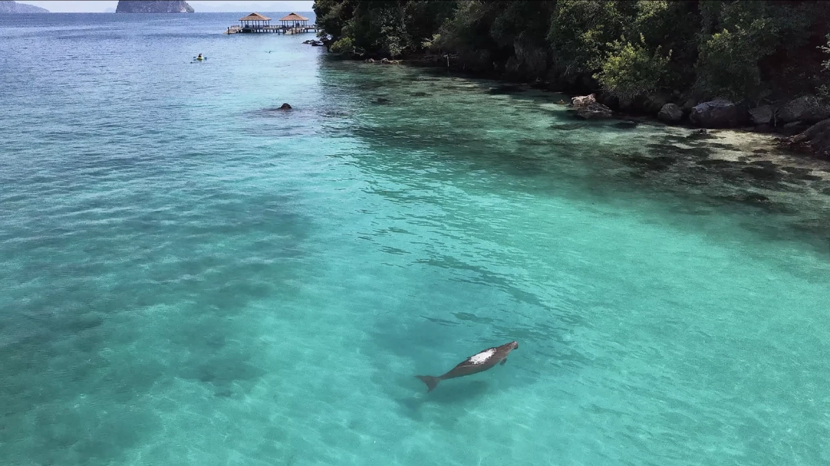 บีทีเอส จัดโครงการ “เยาวชนสัมผัสชีวิตใต้ท้องทะเลไทย รุ่นที่ 11”