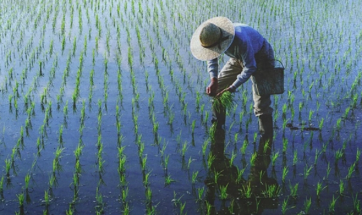 หนี้ครัวเรือนไทยปี69 ชนเพดาน 86.8% สินเชื่อกู้ง่าย จ่ายไม่ไหว สวนทางรายได้-ค่าครองชีพ