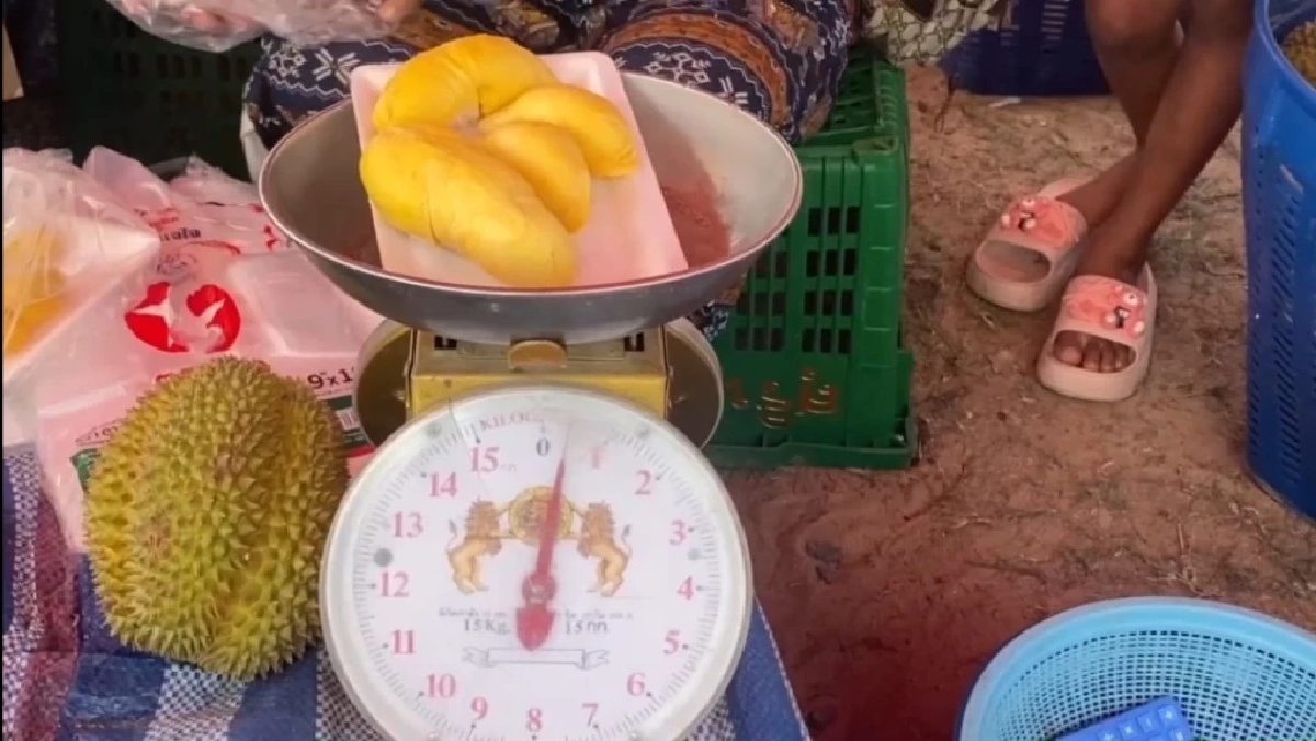 ส่องตลาดสุรินทร์! แม่ค้าจัดให้ทุเรียนราคาถูก ลูกละ 60-80 บาท