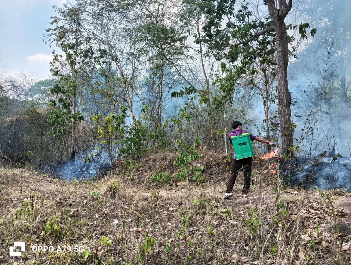 เผาป่าเป็นเหตุ! ลุกลามพื้นที่การเกษตร-บ่อขยะ ทำค่าฝุ่น PM 2.5 พุ่ง
