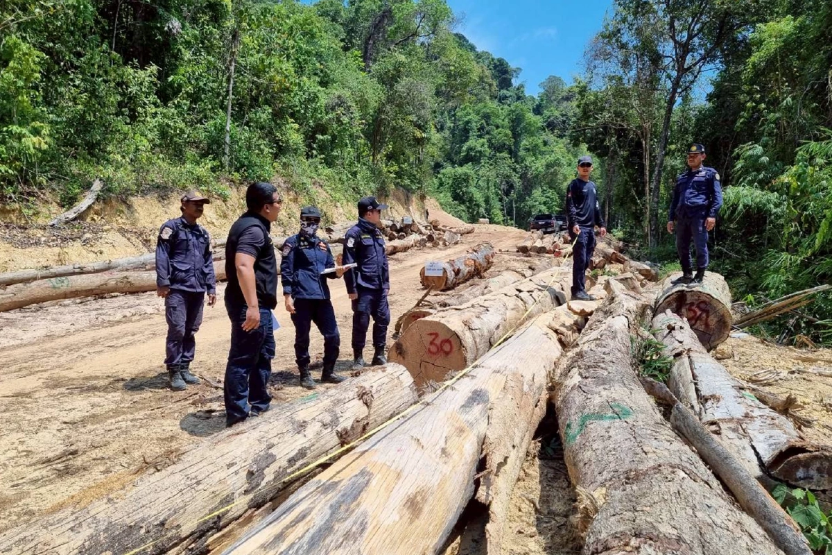 รมว.ทส. ส่ง "ผู้การกบ" เด็ดหัวมาเฟียรุกป่าระนอง 3,000 ไร่ อ้างสิทธิ น.ส.3 ก.