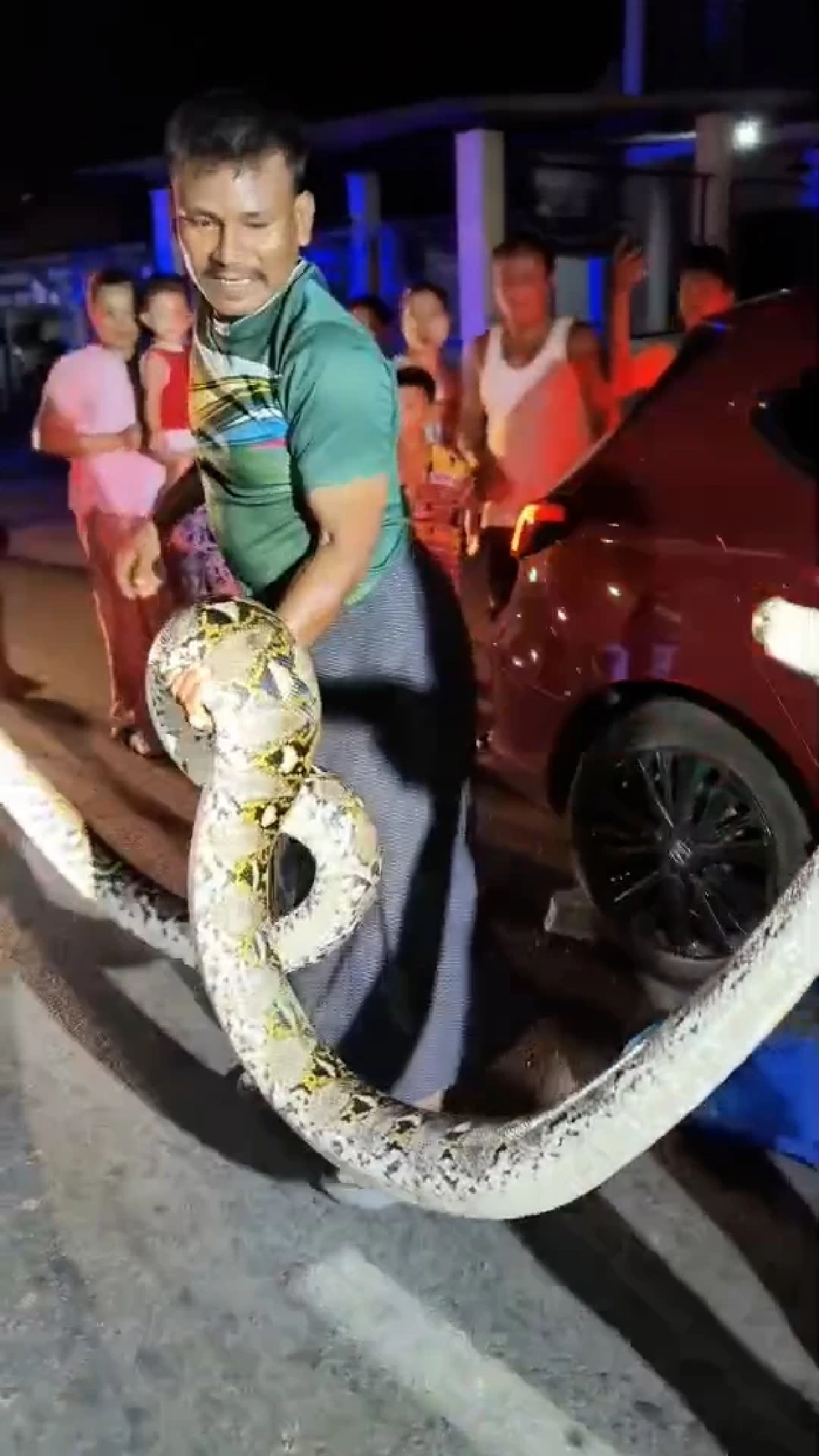 เลขเด็ด เลขทะเบียนรถ "งูเหลือมยักษ์" เข้าใต้ท้องรถ สาวตกใจ! จนเข่าอ่อน